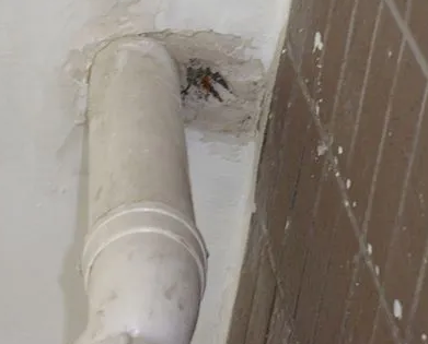 河口漏水检测哪家好